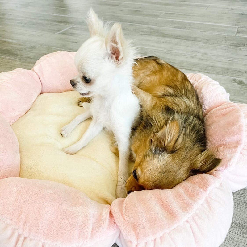TONBO Soft Plush Small Cute and Cozy Pastel Pink Flower Dog Cat Bed, Washer and Dryer Friendly, (Pastel Pink) - PawsPlanet Australia