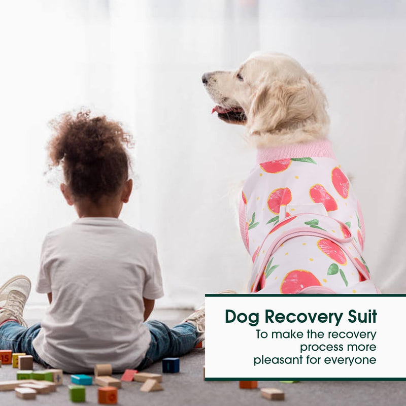 Kuoser Recovery Suit for Dogs Cats After Surgery, Professional Pet Recovery Shirt Dog Abdominal Wounds Bandages, Substitute E-Collar & Cone,Prevent Licking Dog Onesies Pet Surgery Recovery Suit Small (Back:11.4-13.4'', Weight:7-15 LB) Pink - PawsPlanet Australia