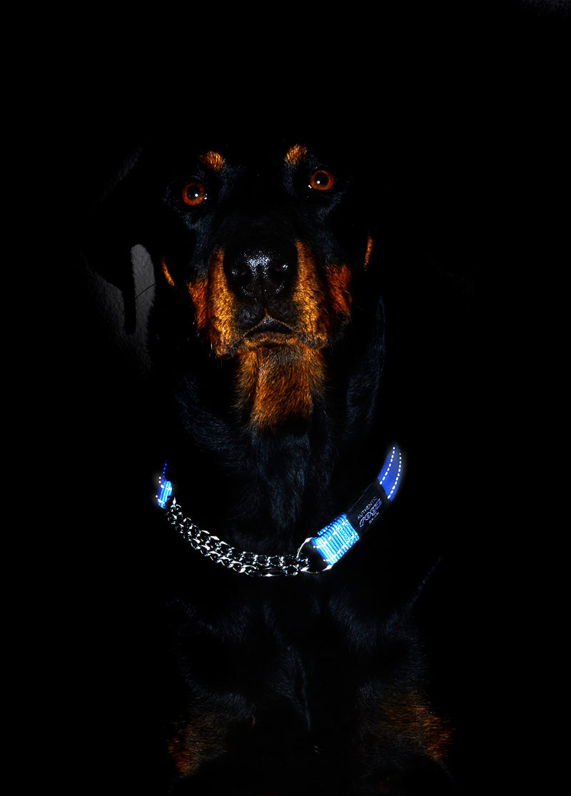 Rogz Utility Medium 5/8-Inch Reflective Snake Obedience Half-Check Dog Collar, Blue - PawsPlanet Australia