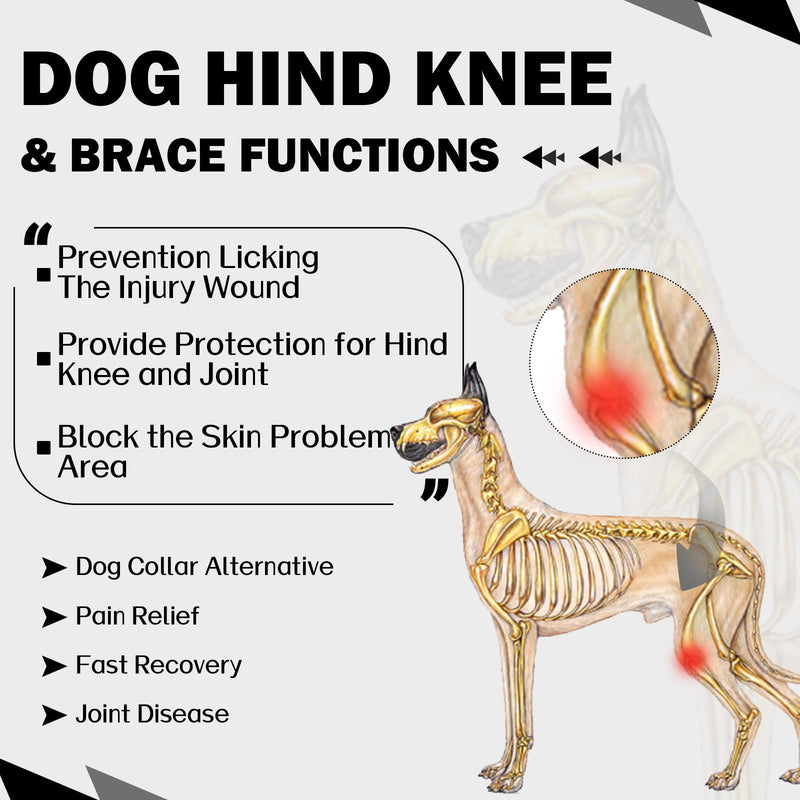 ROZKITCH Dog Surgery Recovery Sleeve Rear Right Left Leg, Pet Prevent Licking Wound Elbow Brace Protector, Dog Recovery Suit Cone Collar Alternative for Sprain ACL CCL Arthritis Joint Care Black XL XL(Chest:24.8-29.9"Back:20.4") - PawsPlanet Australia