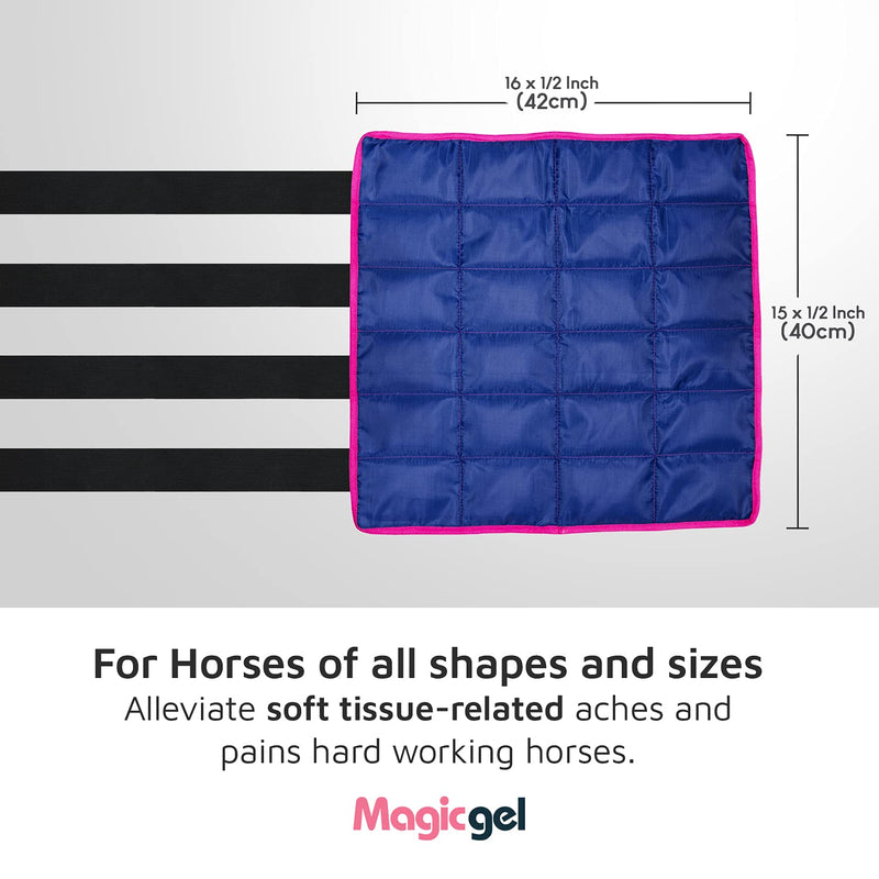 Magic Gel Horse Ice Pack with Carry Case - Twin Ice Boots | Cooling Horse Leg Wraps for Hock, Ankle, Knee, Legs, Boots, and Hooves | Horse Tack, Horse Supplies & Horse Gift Ideas for Horse Lovers 2 Count (Pack of 2) - PawsPlanet Australia