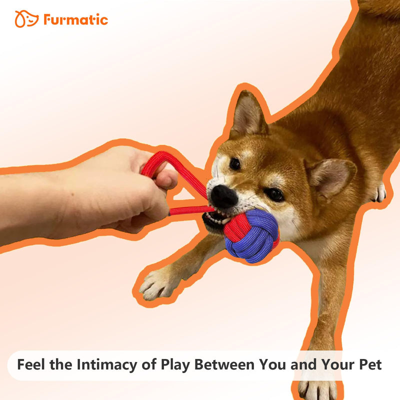 Rope Dog Toys for Small and Medium Dogs | Dog Toys for Aggressive Chewers | Dog Tug of War Toy for Interaction and Teeth Cleaning, Set of 3 Ropes - PawsPlanet Australia