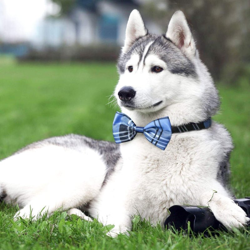 Segarty 70PCS Dog Ties and Bowties Bulk, 40PCS Dog Bowties, 30PCS Dog Bandanas for Small Medium Dogs, Grooming Accessories Gift for Puppy Small Medium Dogs