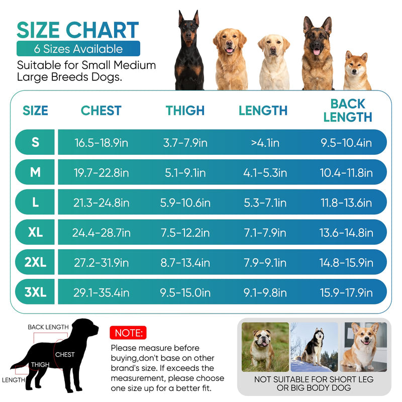 Dog Knee Brace for Back Leg Hind Leg ACL Dog Brace Support Adjustable Double Dog Leg Brace with Stabilizers, Helps with Torn CCL, Luxating Patella, Ligament Injuries,L L Black 1