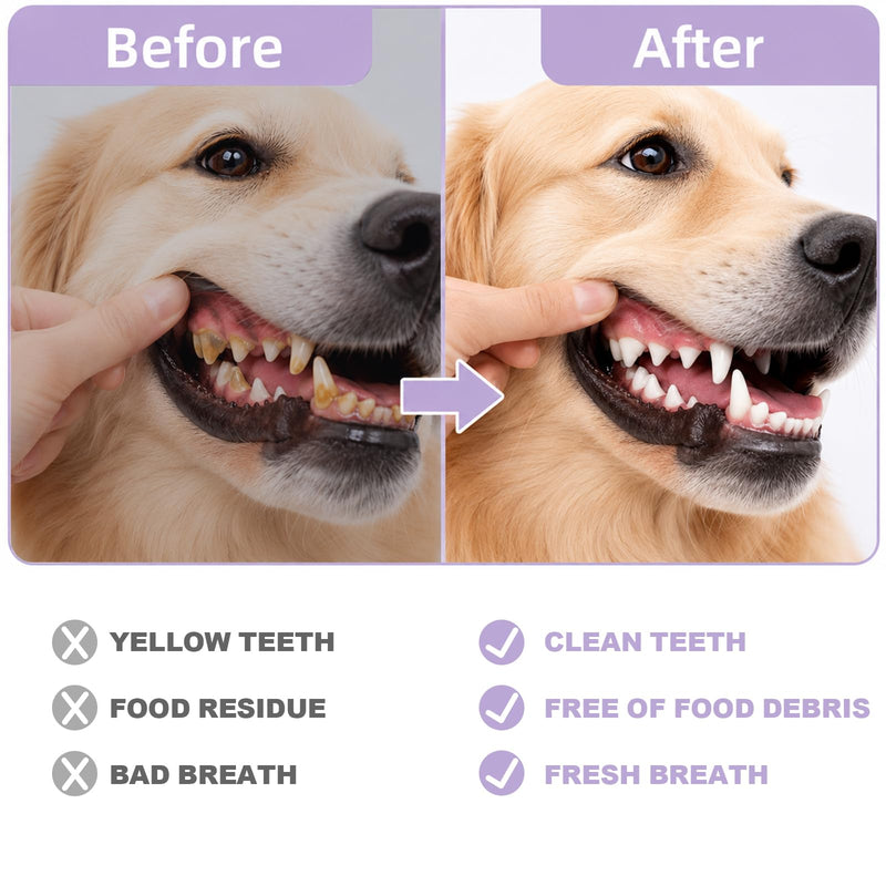 14 Pieces Dog Toothbrush Set, Silicone Finger Toothbrushes for Dogs and Cats, Double Brush, Reusable Teeth Cleaning Fingers Pads, Pet Dental Care Kit Oral Care, Portable Storage (14 Pieces) 14 Pieces