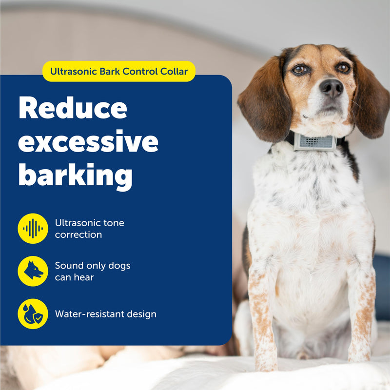 PetSafe Ultrasonic Bark Control Collar - Gentle No Shock Bark Training - Lightweight Comfortable Design - Water Resistant Dog Collar - Humane Anti Bark Device - PawsPlanet Australia