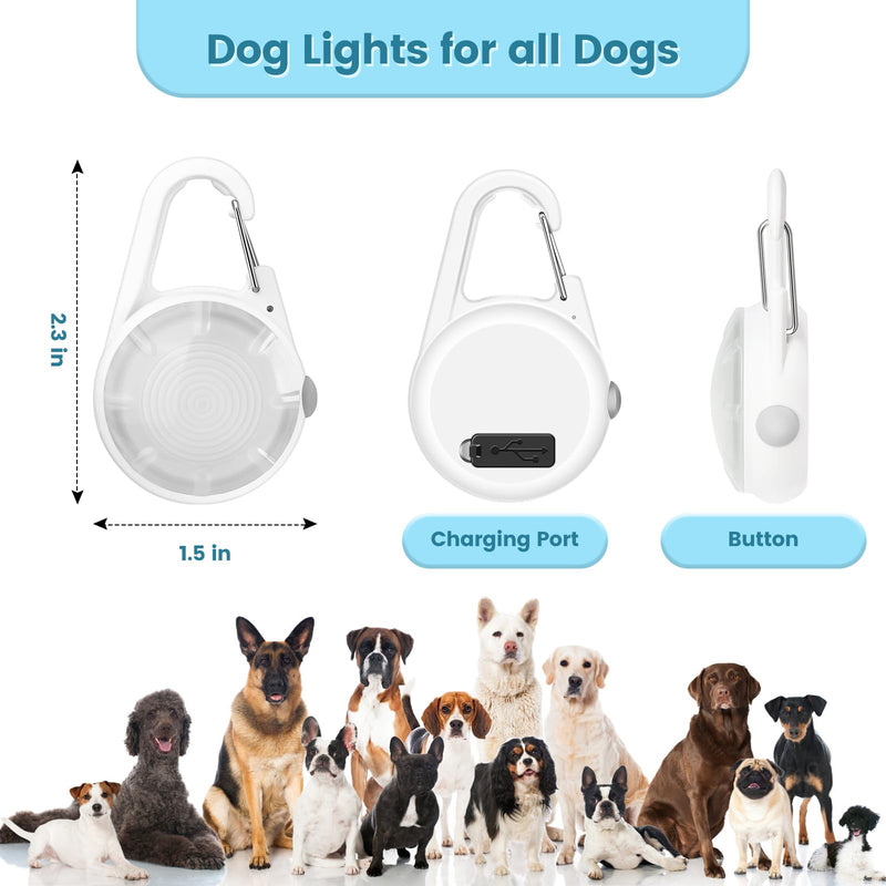 2Pack Dog Lights for Night Walking Dog Collar Light Clip on Glow in The Dark with 4Modes & RGB Color for Camping - PawsPlanet Australia