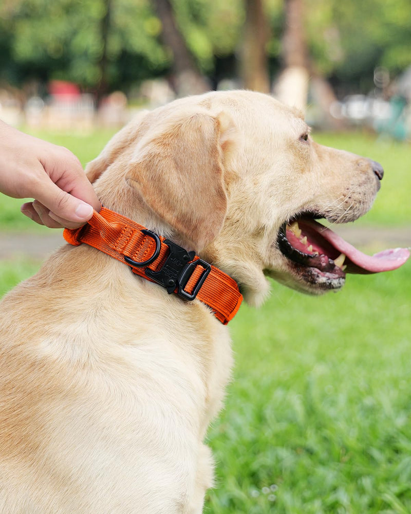 Joytale Tactical Dog Collar(17"-21") and Dog Leash Set, Shock Absorbing Bungee Dog Leash and Adjustable Strong Dog Collar with Handle for Large Dogs(Orange, L) - PawsPlanet Australia