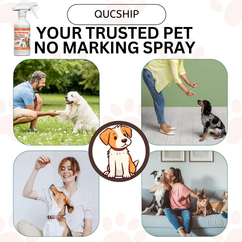 Qucship 16oz Effective Dog Stay Away Spray for Training – Psafe Pet Training Aid to Stop Inappropriate Peeing - Stop Dog Urinating in House with No More Peeing in House - PawsPlanet Australia