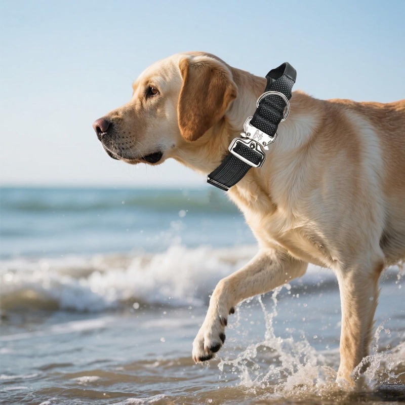 Upgrade Reflective Tactical Military Dog Collar with Leather Handle & Neoprene Padded for Medium Dogs, Wide Thick Heavy Duty Dog Collar with Quick Release Metal Buckle for Training (Black, M) Black M (13”-18”) - PawsPlanet Australia
