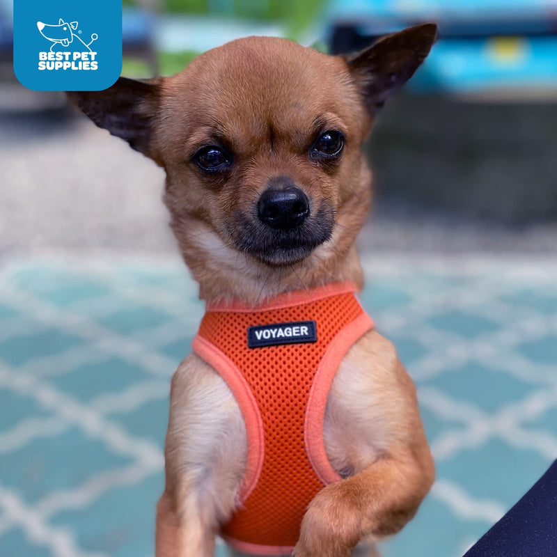 Voyager Step-In Air Dog Harness by Best Pet Supplies - All Weather Mesh Step in Vest Harness for Small and Medium Dogs, Orange, size L - Chest: 18 - 20.5" Harness (Orange) L (Chest: 18 - 20.5")
