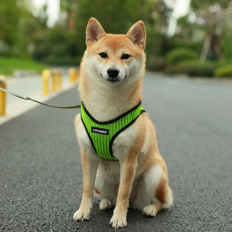 Best Pet Supplies Voyager Step-in Air All Weather Mesh Harness and Reflective Dog 5 ft Leash Combo with Neoprene Handle, for Small, Medium and Large Breed Puppies - Lime Green (2-Tone), S - PawsPlanet Australia