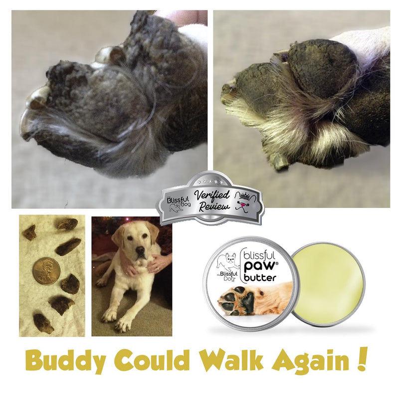 The Blissful Dog Paw Butter, Moisturizer for Dry Paw Pads, Softens and Protects a Rough Paw in Winter, Versatile, Lick-Safe Dog Paw Pad Balm, 0.50 oz. 0.50 Ounce - PawsPlanet Australia