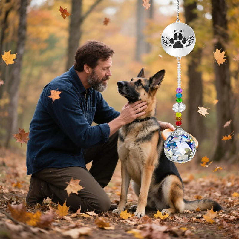 Dog Memorial Gifts for Loss of Dog, Pet Sympathy Gifts Crystal Window Suncatcher,Bereavement Memorial SunCatcher,Remembrance Pet Passing Away Loss(B) B - PawsPlanet Australia
