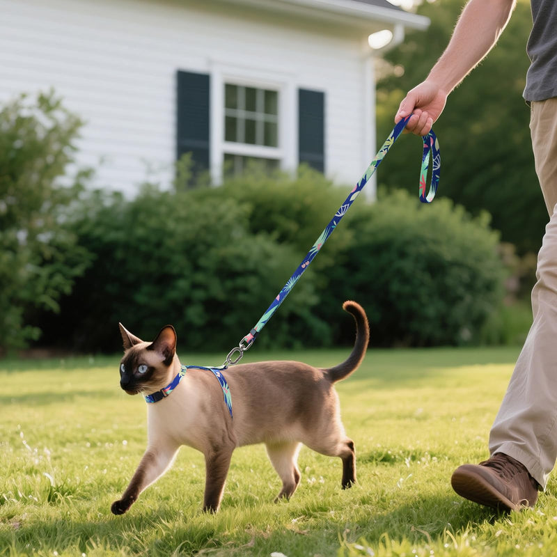 Cat Harness and Leash Set for Walking,Escape Proof Lightweight Soft and Comfortable,Adjustable Kitten Harness and Leash (Hawaii) Hawaii - PawsPlanet Australia