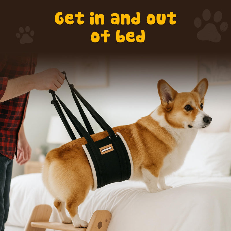 Dog Lift Harness – Adjustable Sling for Large Dogs Hind Leg Support – Comfortable Dog Support Harness for Back Legs – Recovery Sling for Dogs Elderly or Injured (Large (L)) Large (L) - PawsPlanet Australia
