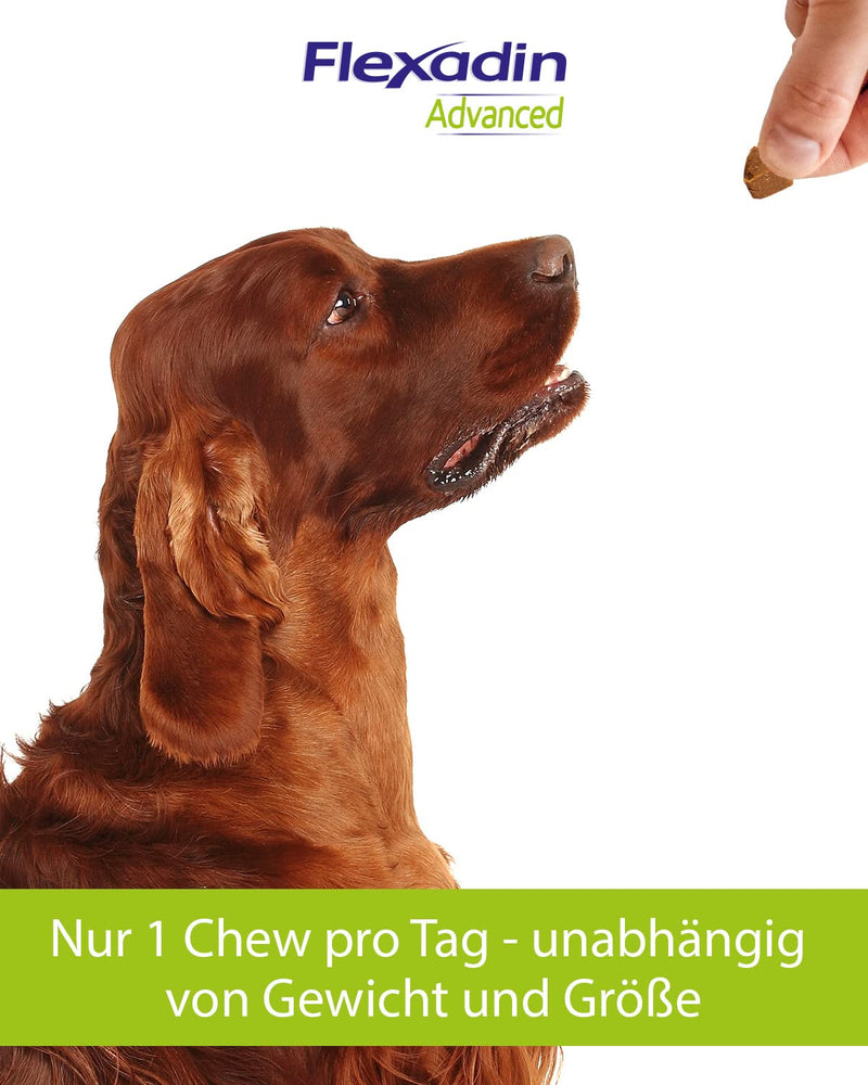 Flexadin Advanced - 30 chews - PawsPlanet Australia