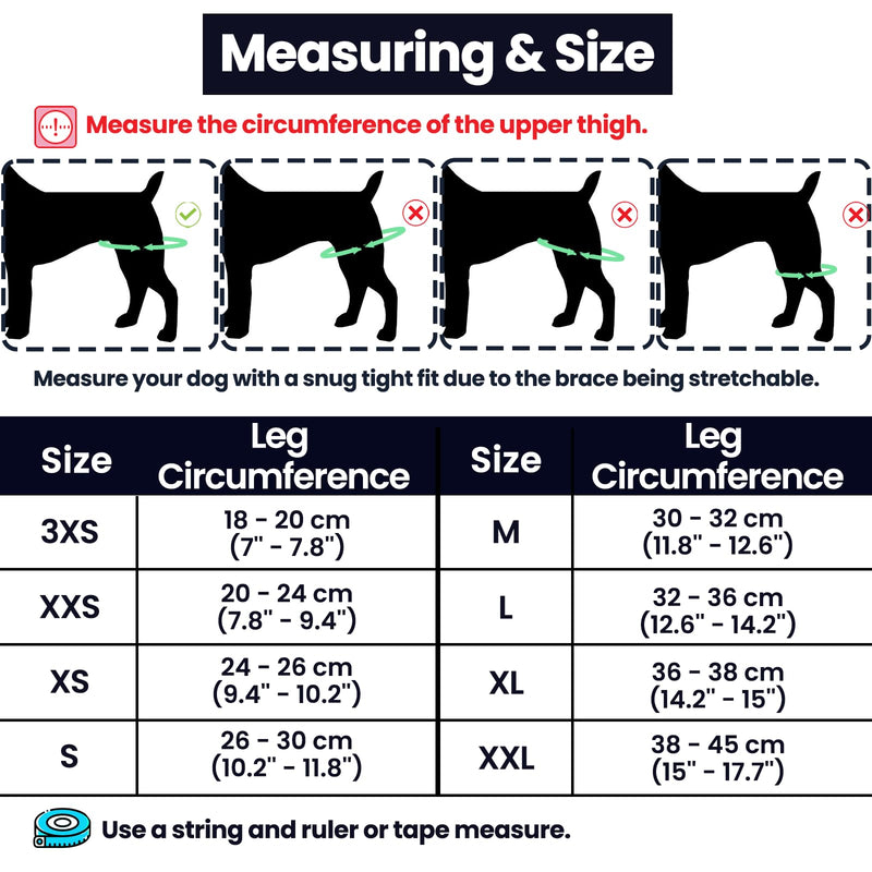 Dog Knee Brace with Harness and Connection Belt, Lightweight and Stretchable, Support for Torn ACL Hind Leg, Luxating Patella, Reduces Arthritis Pain and Inflammation (XX-Small) XX-Small