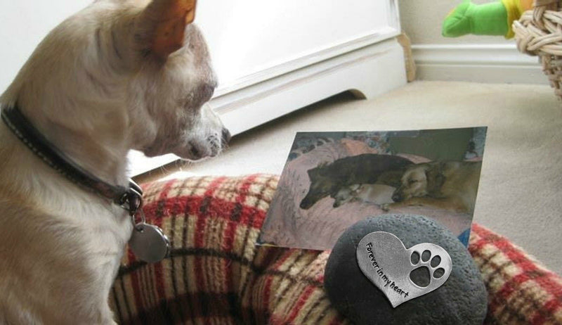 Comforting Dog Memorial Gift - Sympathy or Condolence Gift for Loss of Pet - Forever in My Heart Stone by Whitney Howard Designs - PawsPlanet Australia