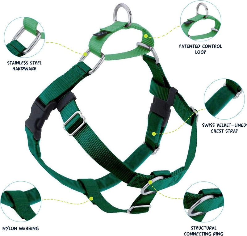 2 Hounds Design Freedom No Pull Dog Harness, Adjustable Harness and Leash Set, Easy Walking & Comfortable Control, Fits Small, Medium & Large Dogs, Solid Colors, Made in USA, 1" LG, Kelly Green LG (Chest 28" - 32") - PawsPlanet Australia