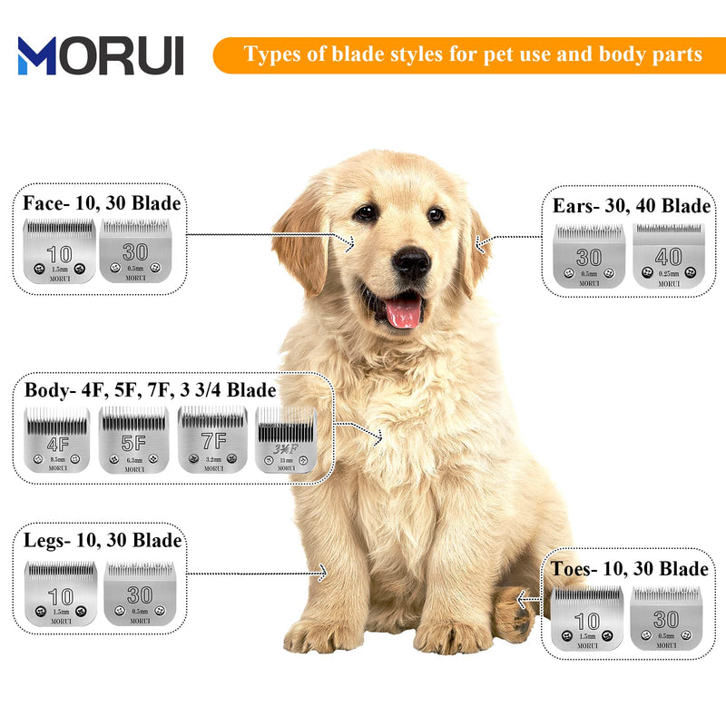7F Cut Length 1/8"(3.2mm) Detachable Pet Dog Clipper Blades UltraEdge Series Clipper Blades for Dog Grooming Compatible with Most Andis,Oster A5 Wahl KM Series Clippers 7F 3.2mm - PawsPlanet Australia