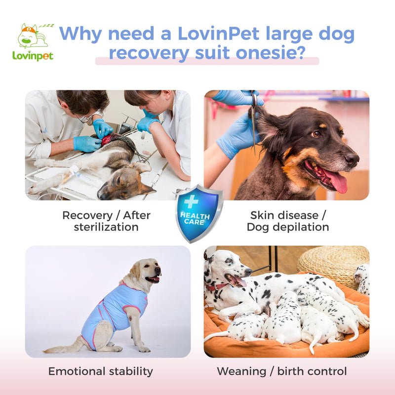 LovinPet Dog Recovery Suit for Large Medium Dogs - Bodysuit Onesie for Shedding Skin Disease Pet Pajamas Dog Anti Licking Snugly Suit Dog Bodysuit for Abdominal Wound After Surgery,Elephant,Blue,M Pink collar/Blue - PawsPlanet Australia