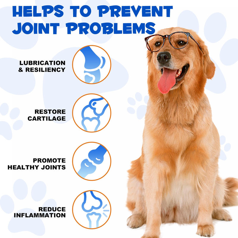 Joint Supplement for Dogs – Glucosamine Chondroitin with Turmeric & Devils Claw – Natural Relief for Senior, Active Adults & Puppy Hip & Joint Health – Support for Inflammation & Cartilage – 2 fl oz - PawsPlanet Australia