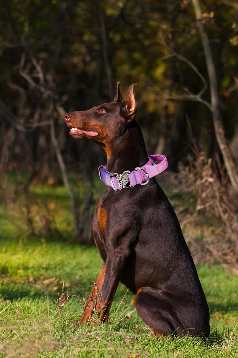 Tactical Dog Collar, Wide Thick Heavy Duty Dog Collar with Handle, Soft Neoprene Padded Military-Grade Nylon Training Collar with Quick Release Metal Buckle for Large Dogs (Pink, L,XL) Pink - PawsPlanet Australia