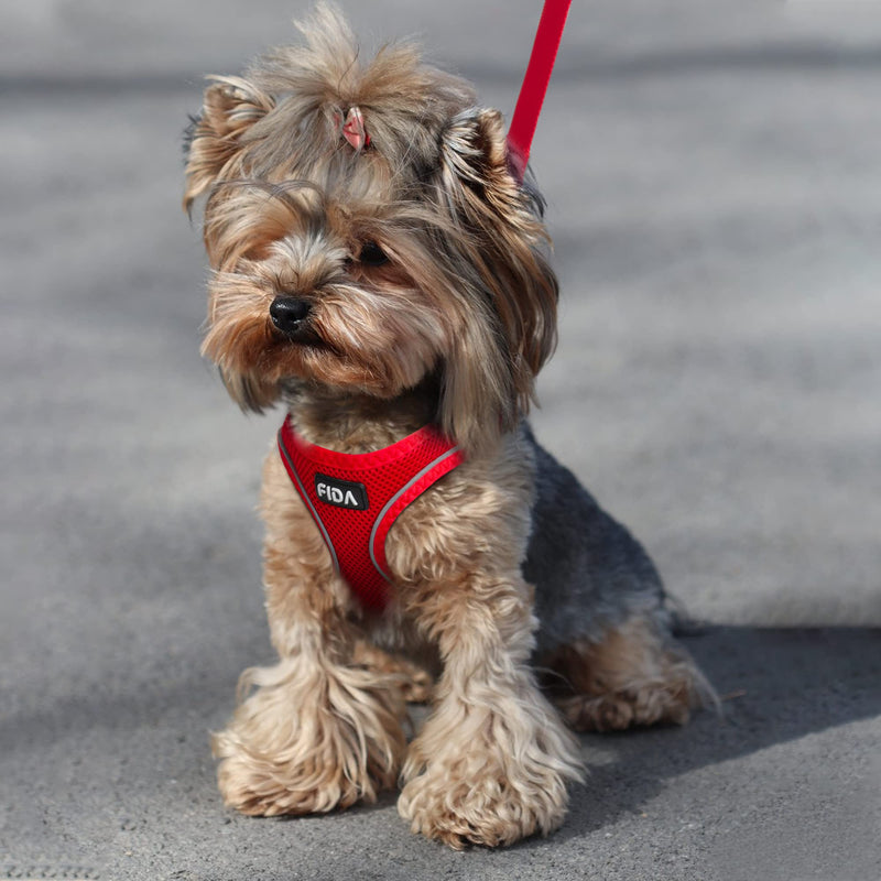 Fida Comfy Dog Harness with Leash, Soft Puppy Vest Escape Proof, Breathable Lightweight Soft Mesh, Adjustable Reflective Step-in Harness for Small & Medium Pet Walking (M, Red) - PawsPlanet Australia