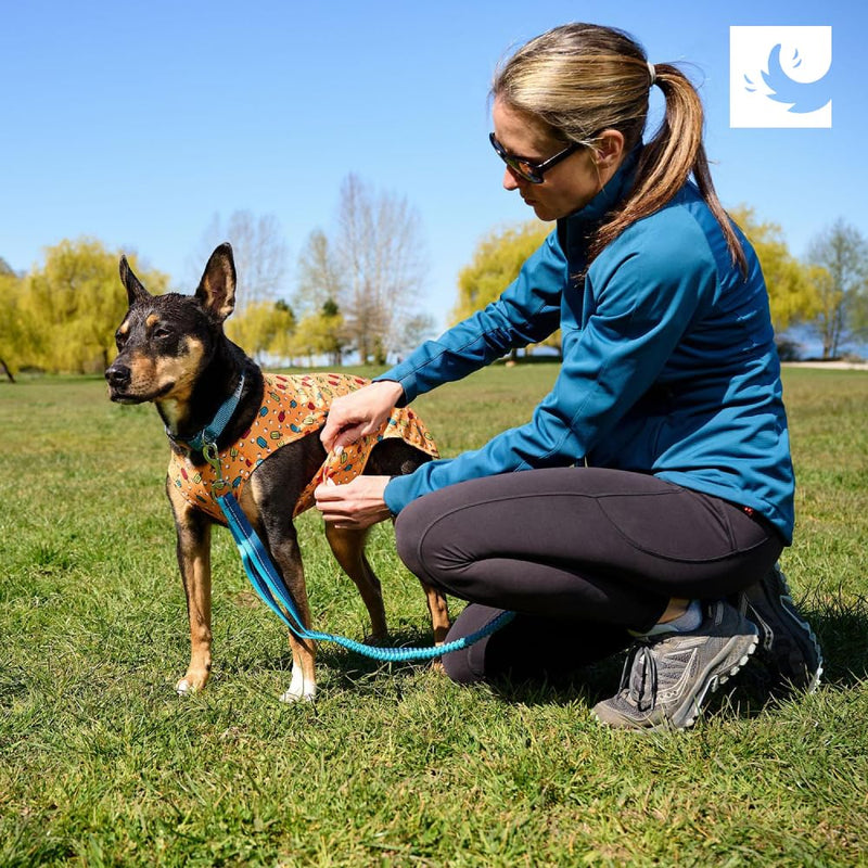 RC Pet Products Zephyr Cooling Vest, Extra Extra Small, Aqua (Medium, Aqua) Medium - PawsPlanet Australia