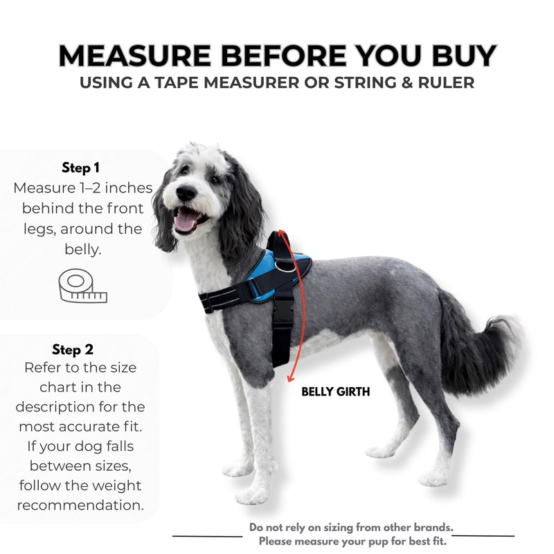 ShawnCo Essential Dog Harness, No-Pull Pet Vest with 3 Leash Clips, No Choke, Reflective, Adjustable and Padded, for Easy Walking and Training for Small Dogs (Mustang Red, S) Mustang Red - PawsPlanet Australia