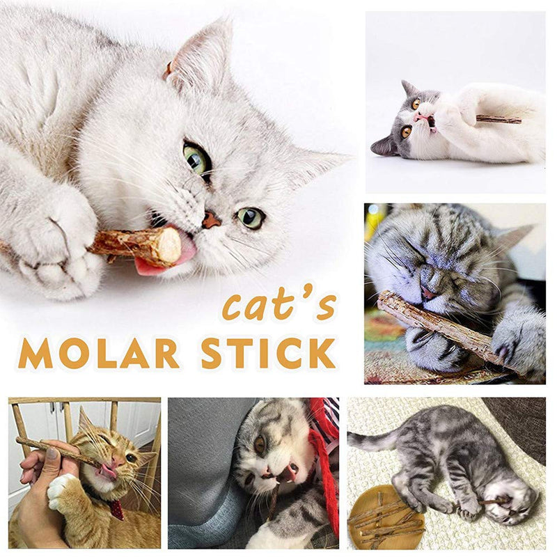 Silvervine Sticks for Cats, Natural Catnip Sticks Matatabi Chew Sticks Teeth Molar Chew Toys for Cat Kitten Kitty (at Least 12 PCS) 12 Count (Pack of 1)