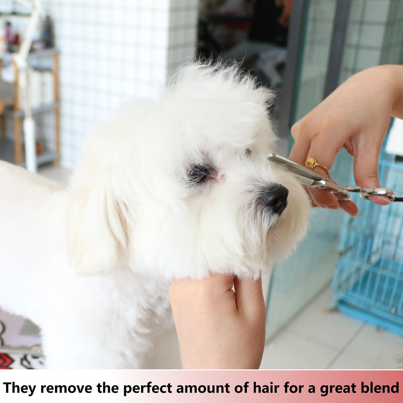 HASHIMOTO Dog Blending Shears for Large Hands,dog Texturizing Scissors,Cat Blender,45 teeth,7.0 inch,Light Weight. - PawsPlanet Australia
