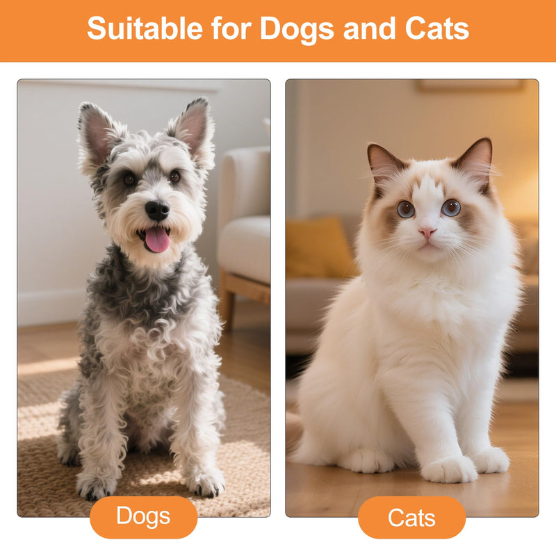 Pack of 4 Cat Collars, Adjustable Cat Collar, Cat Protective Collar, Anti Bite Collar Cat Protector, for Cats Small Dogs After Surgery (Yellow, Orange, Pink and Blue)