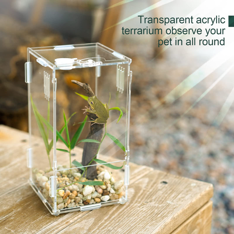 BETAZOOER Acrylic Mini Reptile Tank Habitat Transparent Terrariums with Locking Latch Suitable for Tarantula Isopod Roach Invertebrates (4''x4''x8'') Small