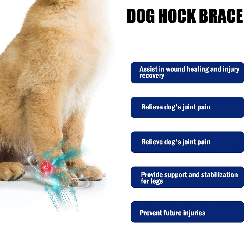 KINBOM Bandage for Dogs Front Leg, Dog Bandage Front Leg Dog Front Leg Support with Metal Bars Dog Front Leg Support to Support the Wrist ACL Tear Wound Protection (Size L)
