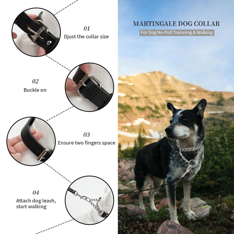 Leather Martingale Dog Collar No Pull Design Limited Stainless Steel Chain Cinch Training Dog Collar Adjustable Training No Slip Dog Collar for Large Dogs(Black Neck 15"-19.7") Black Large( Neck 15"-19.7", Width 1") - PawsPlanet Australia
