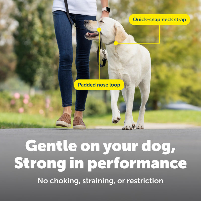PetSafe Gentle Leader Headcollar, No-Pull Dog Collar – Perfect for Leash & Harness Training – Stops Pets from Pulling and Choking on Walks – Medium, Deep Purple