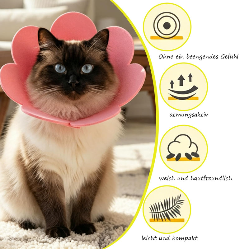 5-Pack Cat Neck Collar, Soft Neck Collar for Cats, Protective Collar for Cats, Adjustable Neck Collars, For Cats 6 to 9 Pounds, Orange Yellow Purple Pink Blue Floral Pattern