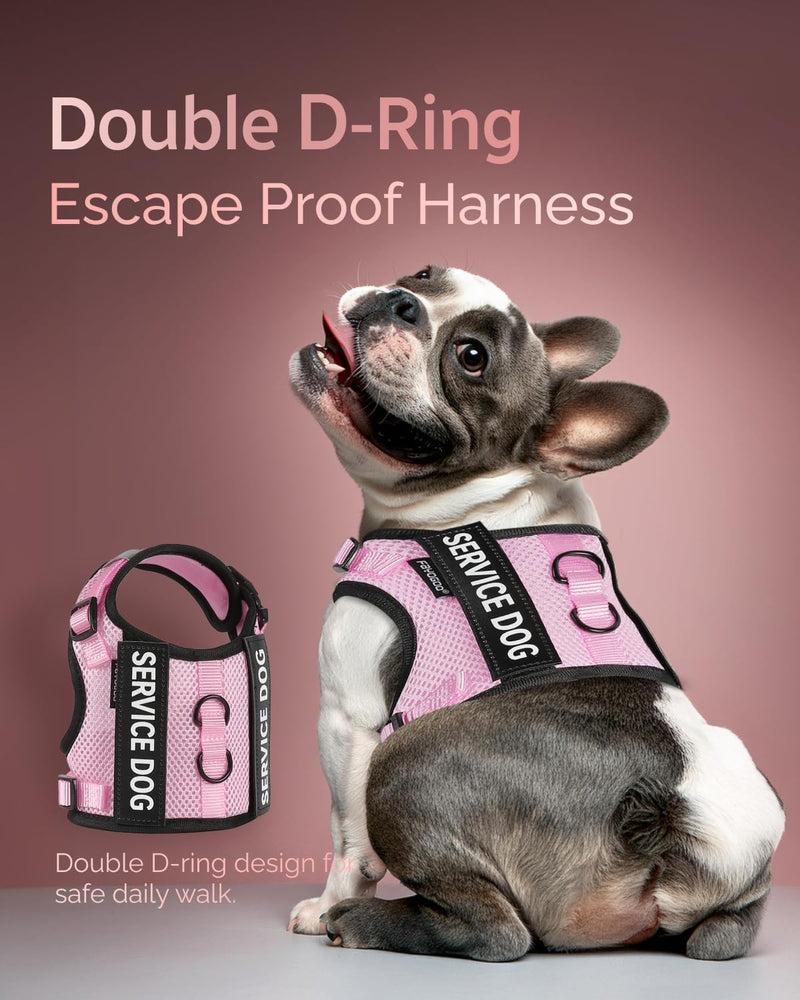 FAYOGOO Service Dog Vest for Small Dogs - Air Mesh Breathble Emotional Support Animal Vest with Velcro Patches - Puppy Harness and Leash Set Adjustable Neck and Chest Pink M - PawsPlanet Australia