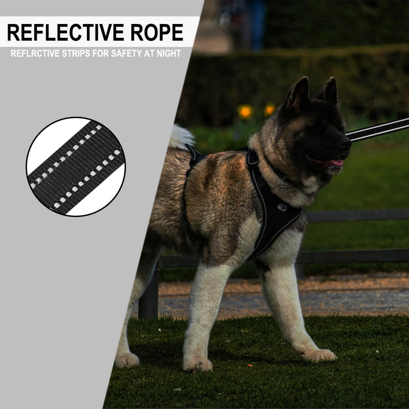Dog Leash 6 FT, Double Sided Reflective Dog Leash with Soft Padded Handle, Durable Metal Snap Hook Nylon Heavy Duty Leashes for Small Medium and Large Dogs, 1 Inch Wide, Black - PawsPlanet Australia