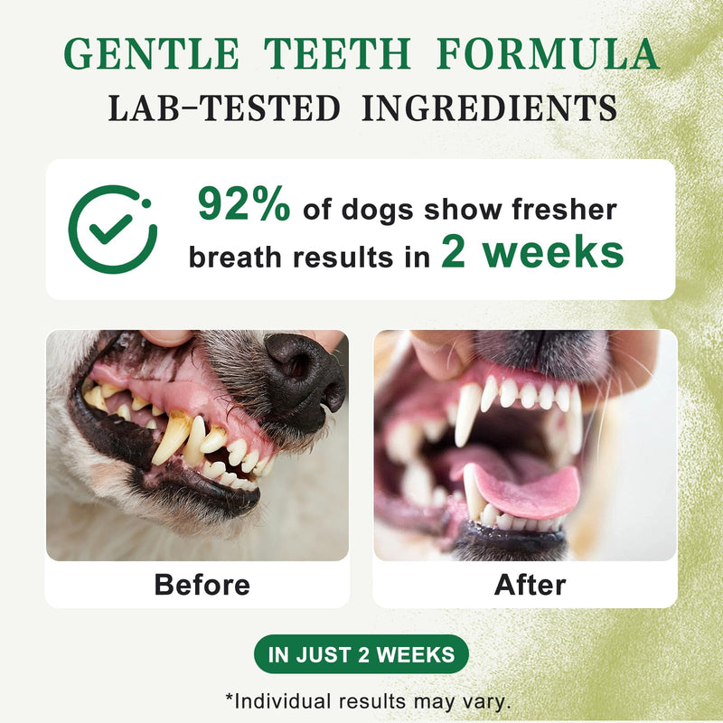 Dog Dental Powder with 750,000,000 CFU Probiotics, Advanced Dog Teeth Cleaning Powder to Reduce Plaque & Tartar, Dental Care for Dogs, Breath Freshener & Teeth Cleaning Made Easy for All Dogs 3.5 Ounce (Pack of 1) - PawsPlanet Australia