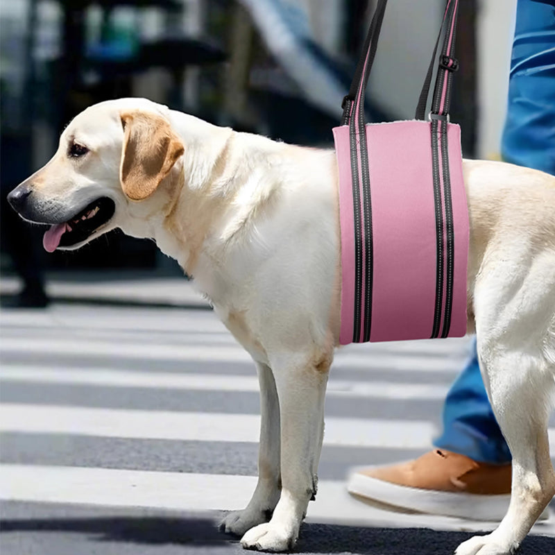 AIITLE Dog Carrier Sling Medium - Hind Leg Support Sling with Hip Padding, Rehab Mobility Aid for Senior/Disabled Dogs, Orthopedic Injury & ACL Surgery Recovery (Pink, M) Pink - PawsPlanet Australia