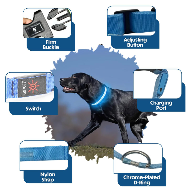 Light Up Dog Collar – Reflective, Adjustable & Rechargeable Electronic Glow Pet Collars – Bright, Comfortable, High Visibility LED Dog Collar for Night Safety, Outdoor Walk & Flashing Fun, Blue, Small