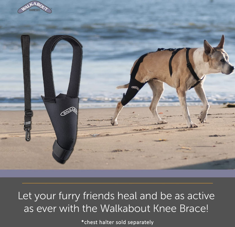 WALKABOUT Knee Brace (Small right (7-9")) Small right (7-9") - PawsPlanet Australia