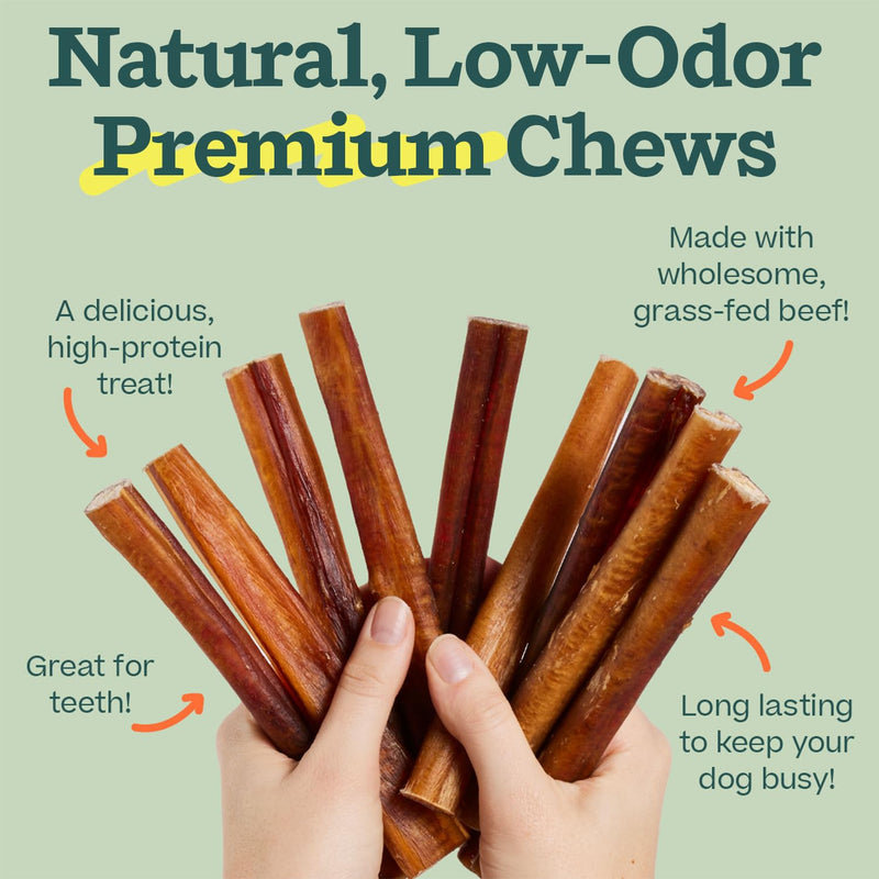 WOOF Bully Sticks Dog Treats - Chew Sticks for Dogs - Long-Lasting Dog Chew Treats - Made with Free-Range, Grass-Fed Beef - 6" Sticks - 5pk 6 Inch (Pack of 5) - PawsPlanet Australia