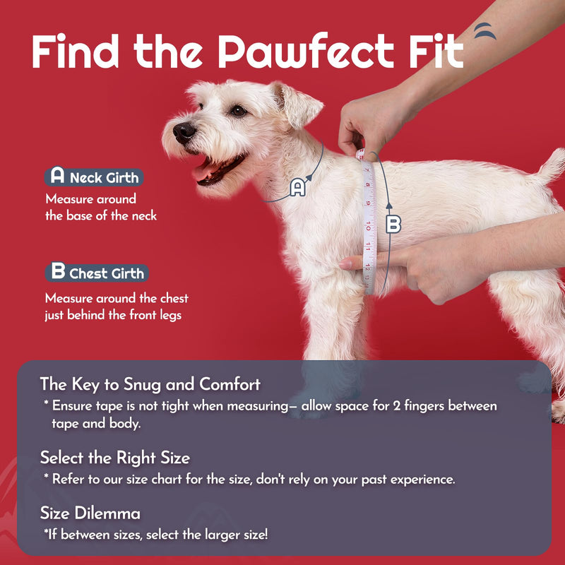 Eagloo Small Dog Harness and Leash Set, Step in Puppy Vest with Breathable Soft Mesh, Walking Reflective Pet Harness for Small Dogs, Red, XS XS(Chest:13.3"-15.5") - PawsPlanet Australia