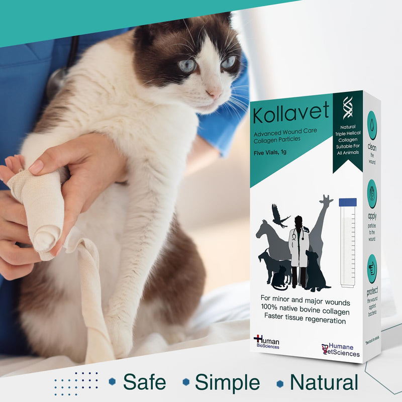Veterinarian-Recommended Animal Wound Care Dressing for Cats, Dogs, Horses, Reptiles, Pets, and Working Animals (1 Gram Vials) 1 Gram Vials - PawsPlanet Australia