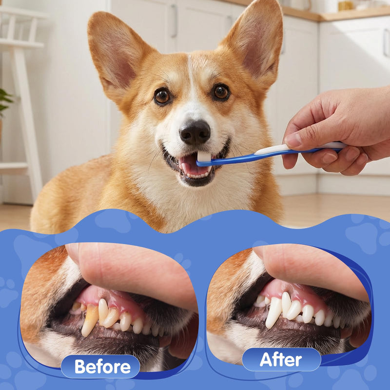 Dog Toothbrush Small Breed, 3 PCS Ultra Soft & Mini Head | Soft Pet Toothbrush, Curved Handle, Gentle Dental Brush, For Yorkie Chihuahua Puppies & Kittens