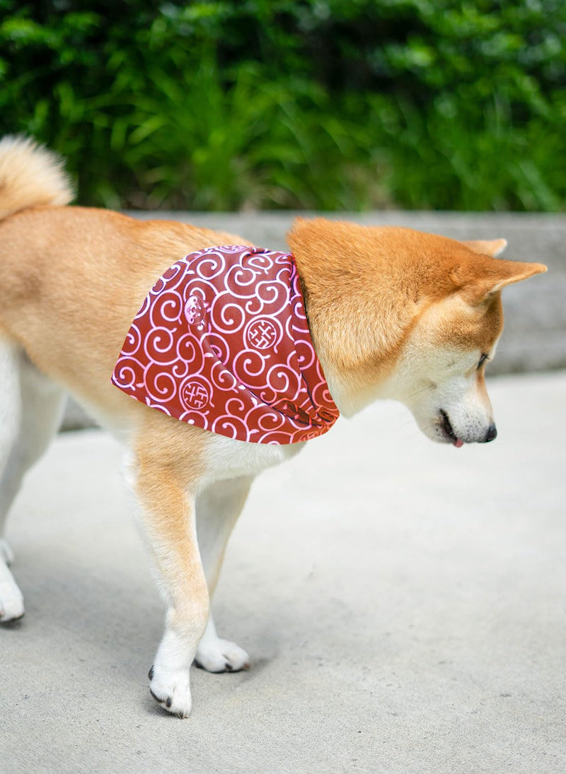 Shiba Inu Dog Karakusa Bandana Large with Kawaii Shibaken Logos & Shiba Kanji Logos Comfortable, Washable, and Stretchy Pet Scarf Size One-Sided Print (Red) Red - PawsPlanet Australia